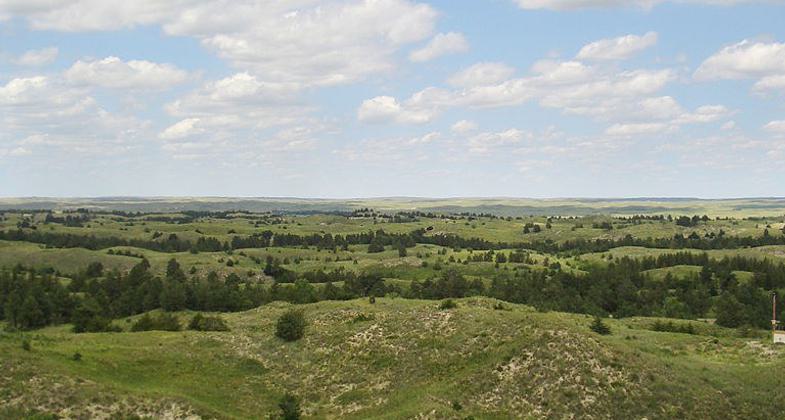 Nebraska National Forest. The largest human-planted forest in the US. Photo by Bkell.