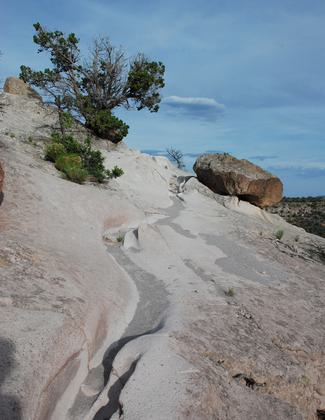 Tsankawi. Photo by Sally King courtesy NPS.