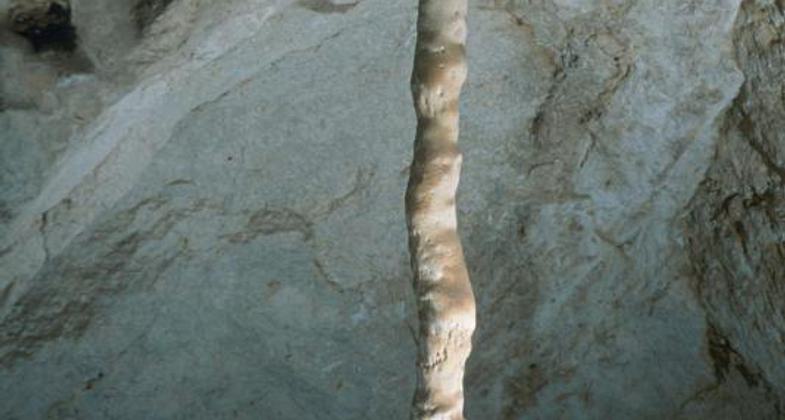 Temple of the Sun features a column surrounded by hundreds of stalactites. Photo by NPS/Peter Jones.