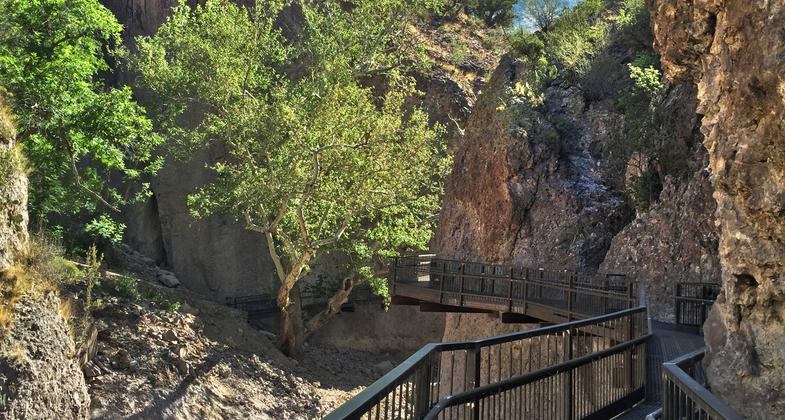 Photo by Amber Wisley.