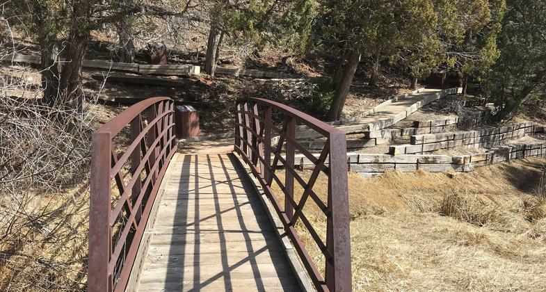 Photo by Pam Riches.