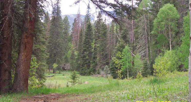 Columbine Trail in Carson National Forest. Photo by USDA Forest Service.