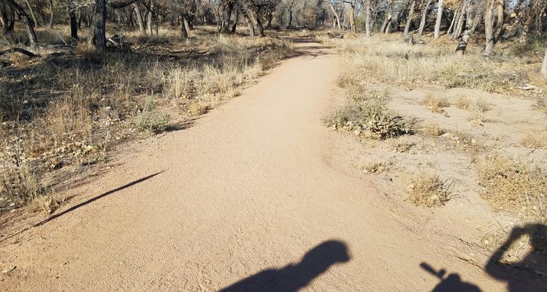 Shadows on the trail. Photo by Candace Gallagher.