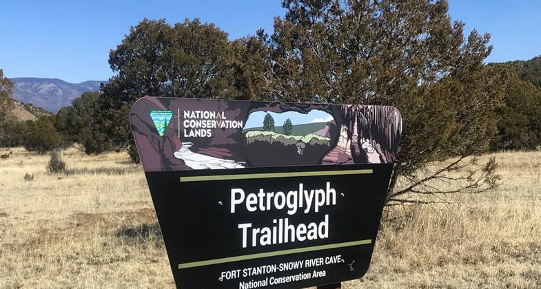 Photo by Pam Riches.