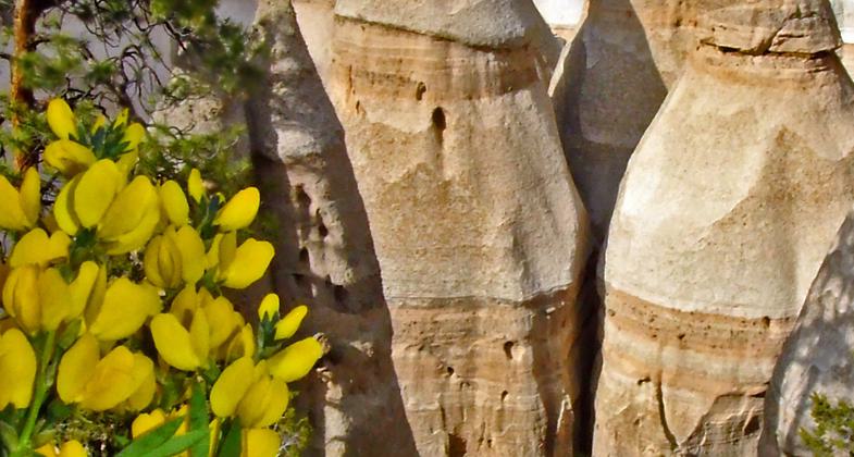 Photo by Ken Squires.