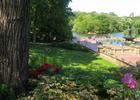 Bethesda Fountain and Central Park Lake beyong. Photo by Denise Liftin.