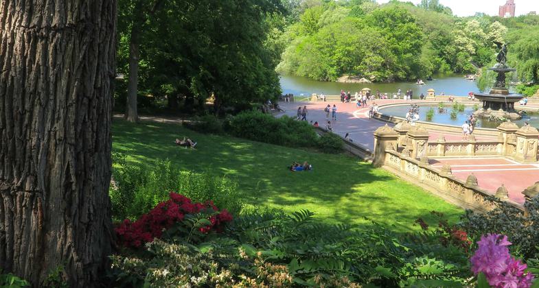 Bethesda Fountain and Central Park Lake beyong. Photo by Denise Liftin.