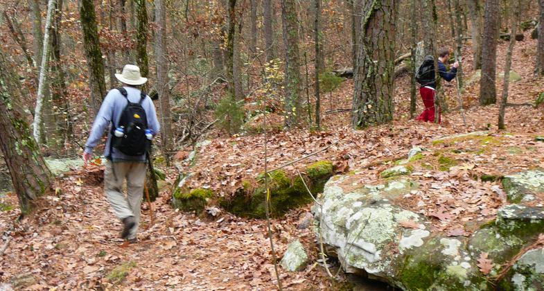 Hikers on Cedar Creek Trail. Photo by Bryan Hodges.