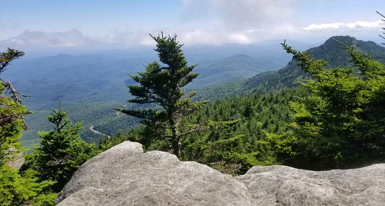 View from Calloway Peak. Photo by John Caveny.