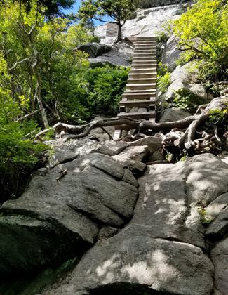 Ladders climbing up to MacRae Peak. Photo by John Caveny.