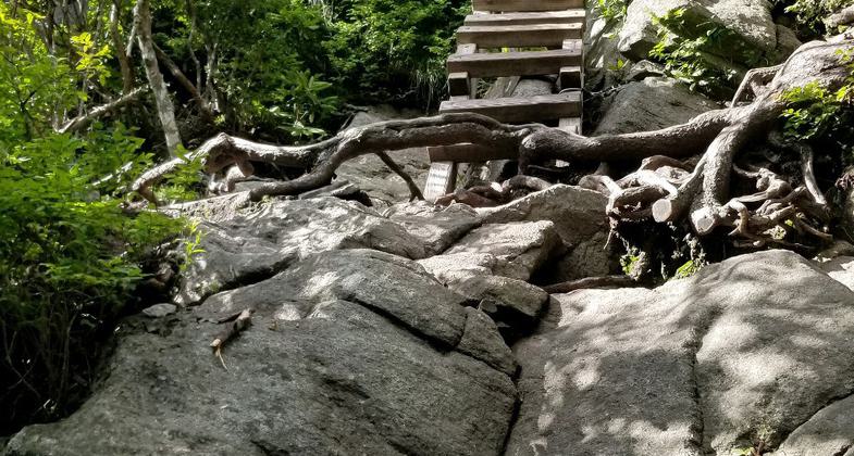 Winner 2024 NRT Photo Contest, Innovative Facilities. Photo by David Huff