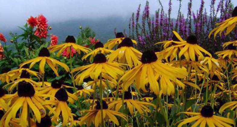 Ladders climbing up to MacRae Peak. Photo by John Caveny.