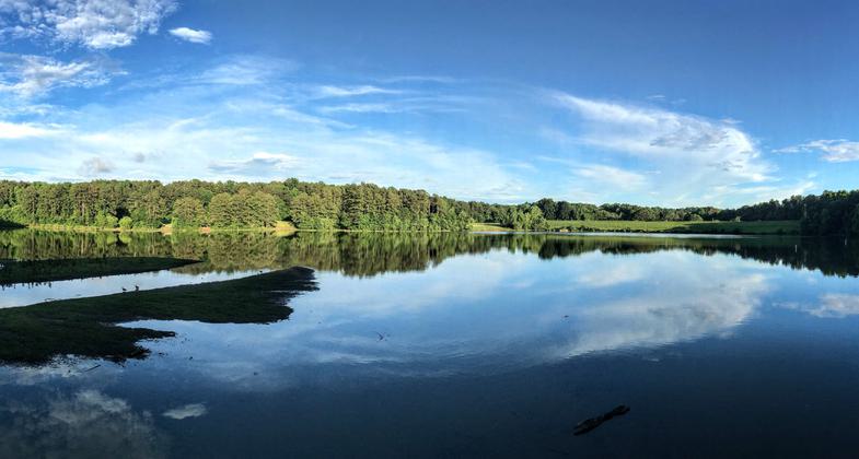 Photo from the bridge side, part of the path around the lake. Photo by Martin Brossman.