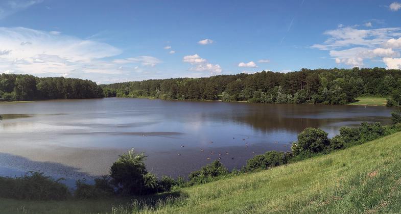 Photo from the Millbrook Rd side. Photo by Martin Brossman.