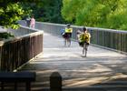 The main bridge walkway. Photo by Martin Brossman.