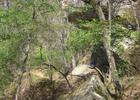 Devil's Den trail in Devil's Den State Park in Arkansas. Photo by Alejandro Forero Cuervo/wiki.