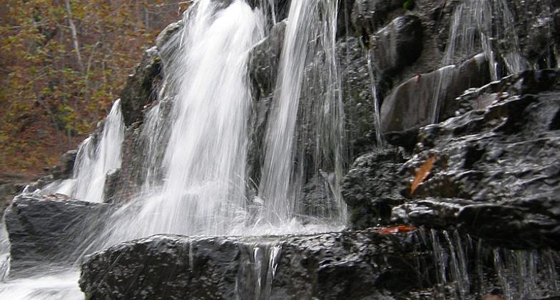 Trail blaze. Photo by Steven Parker.