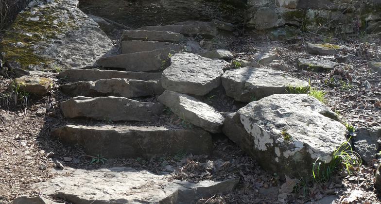 Photo by Steven Parker.