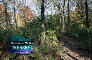 Buttercup Valley Trail