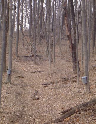 Photo by Caldwell Nature Preserve.