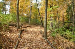 Caldwell Park Trails