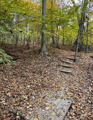Fall colors. Photo by Patricia Hutchinson.
