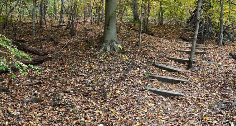 California Junction trail sign. Photo by Maribeth Kiefer Lind.