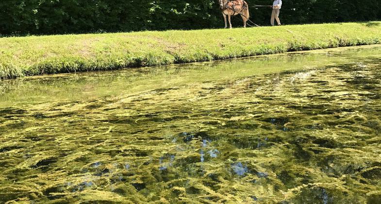 Dayton Bike Rack. Photo by Mary Shaw.