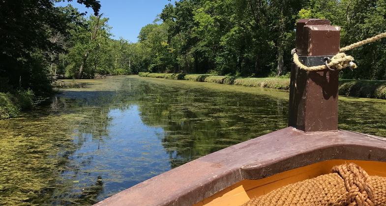 Canal Horse. Photo by Elizabeth Connor.