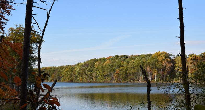 Lake Pippen viewed from Towner's Woods trail. Photo by Andrea Metzler.