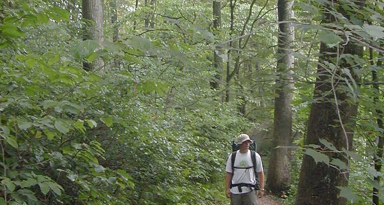 Backpacking on the Lake Vesuivus Backpacking Trail. Photo by USFS.
