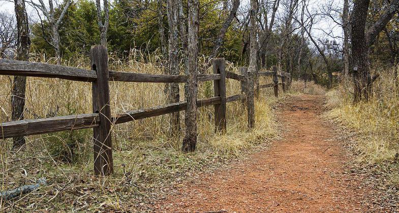 Trail in Martin Park Nature Center, Oklahoma City, OK. Photo by Kool Casts Photography.