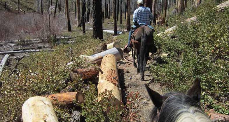 On the Fremont National Recreation Trail #160 in Fremont National Forest, Oregon; photo by Lane & Linda Thomas.