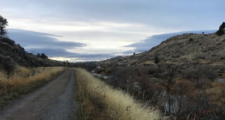 Photo by Pam Riches.