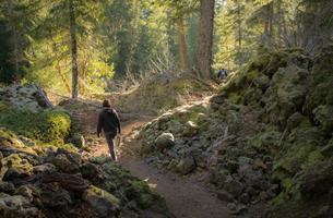 McKenzie River Trail