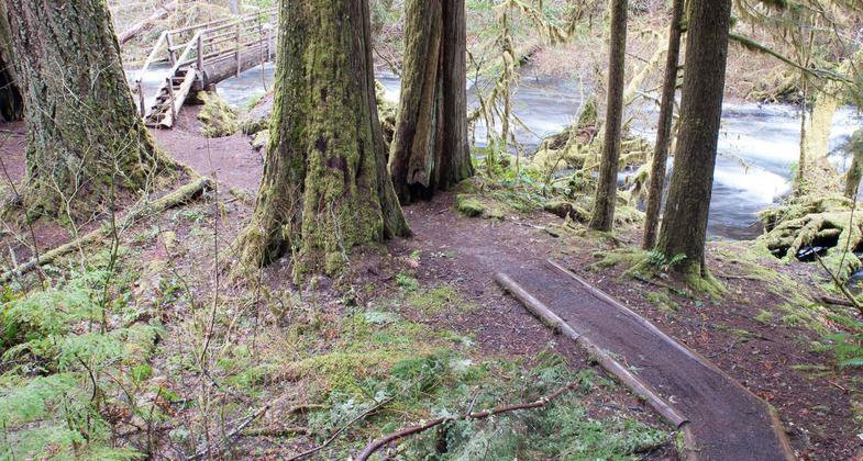 McKenzie River Trail No. 3507 signage. Photo by Gabrielle Webster.