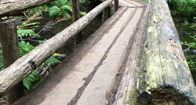 I can see so much more from here!. Photo by Gabrielle Webster.