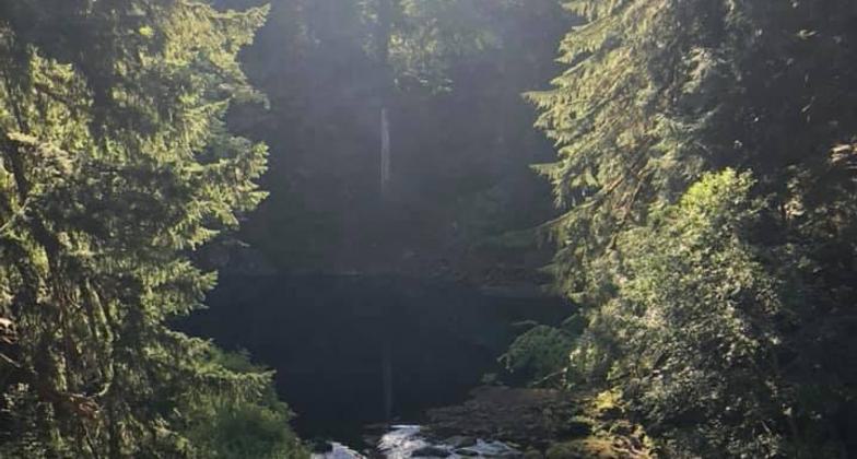 Moss covered rocks on trail. Photo by Gabrielle Webster.