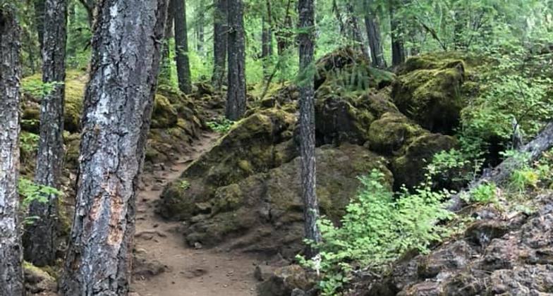 Lava fields along the trail.