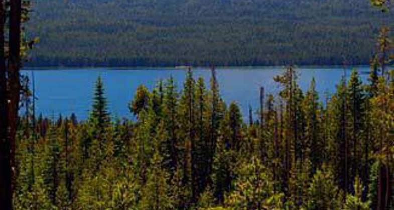 Mt. Thielsen. Photo by Claytontullos wiki.