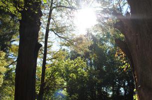 Kingfisher Trail