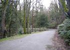 Lake Washington Bike Trail. Photo by Joe Mabel wiki.