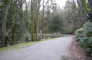 Lake Washington Bicycle Path