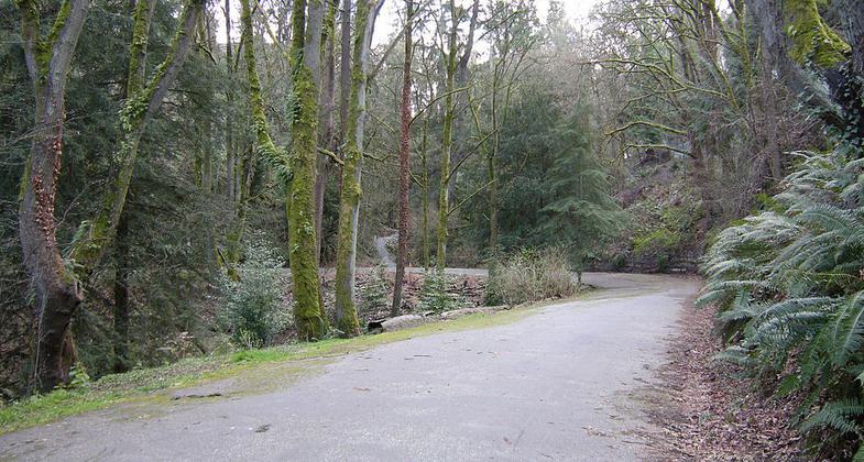 Lake Washington Bike Trail. Photo by Joe Mabel wiki.