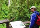Interpretive signage on trail. Photo by USFS.
