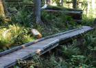 Accessible boardwalk on the Shadow of the Sentinels National Recreation Trail in Baker-Snoqualmie National Forest, WA. Photo by American Trails.