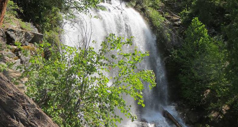 Silver Falls. Photo by Shannon Leader.