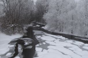 Kiwanis Trail