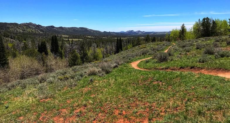 On the trail looking south. Photo by Pam Riches.