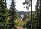 View from the South Rim Trail, near Artist's Point, Yellowstone National Park. Photo by Valerie A. Russo.